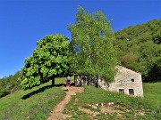 In Linzone spettacolo di narcisi e muscari - 15magg23-FOTOGALLERY